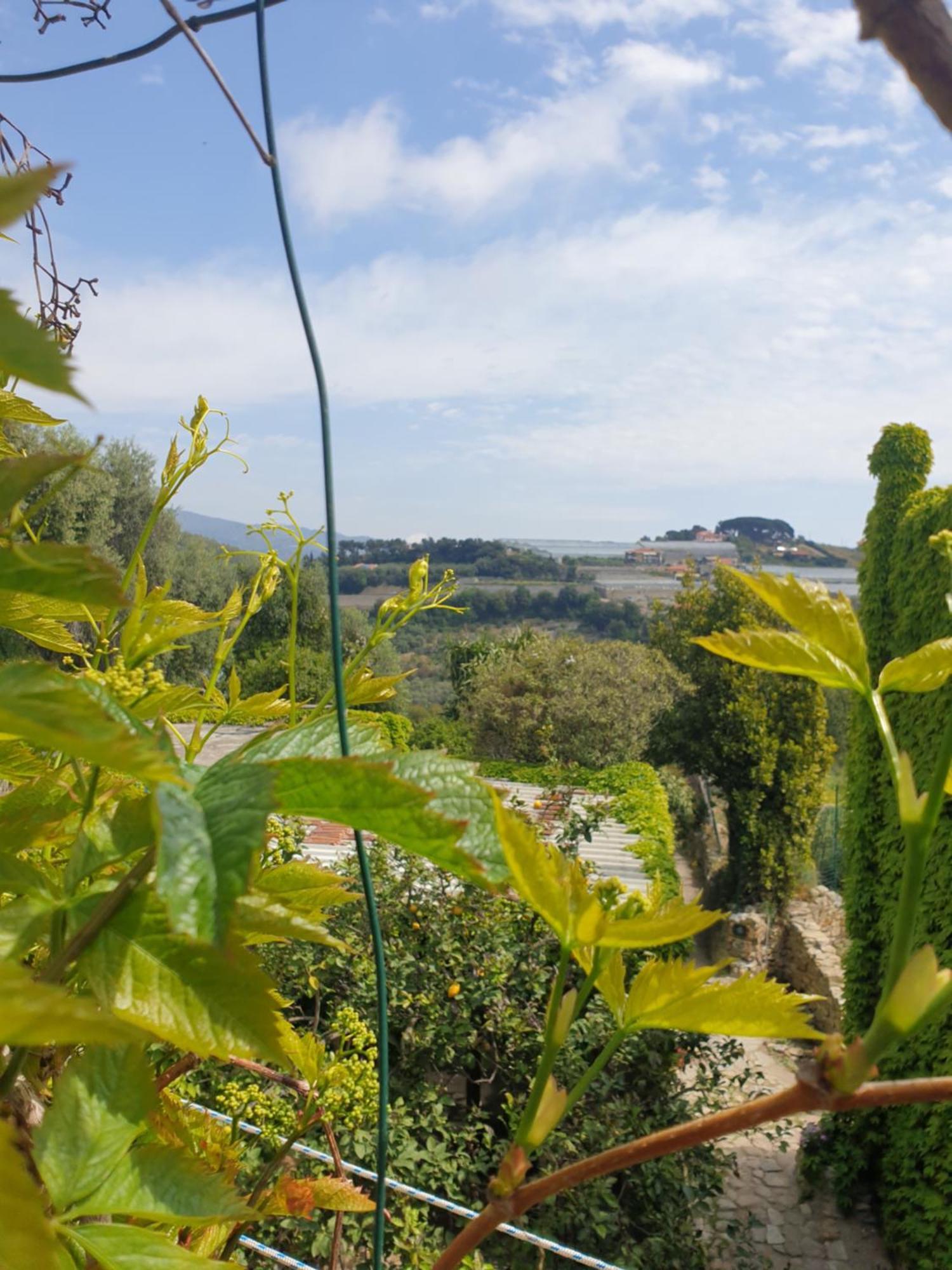 Casa Di Ingrida Bussana Vecchia Villa Sanremo Exterior photo